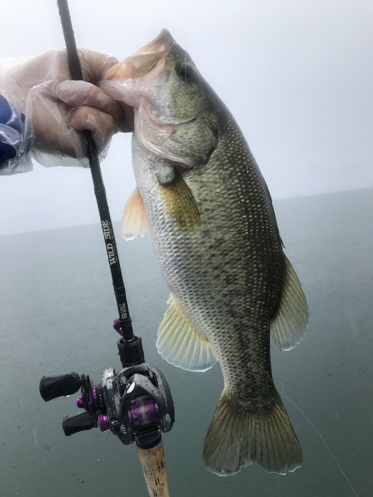 truth  ブログ写真 2019/10/25