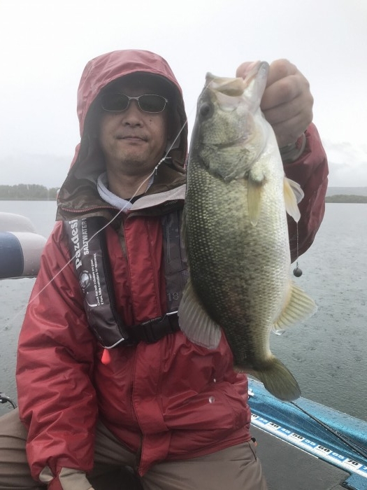 truth  ブログ写真 2019/10/25