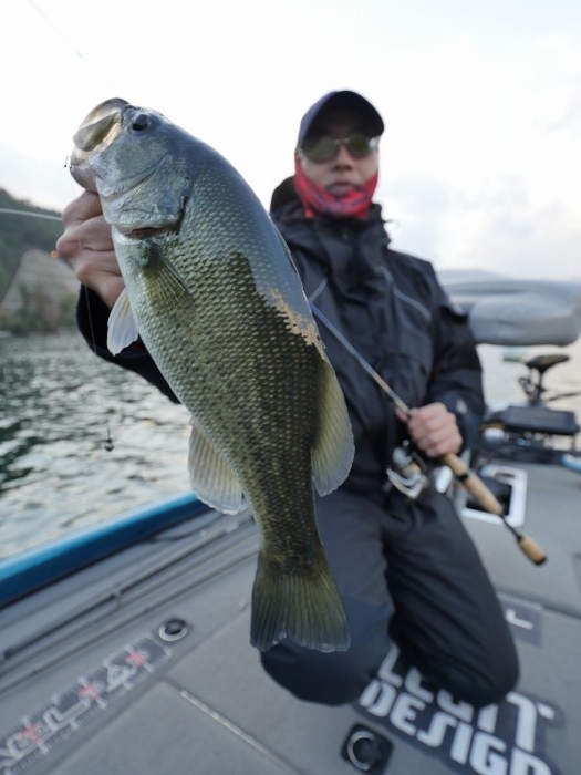 truth ブログ写真 2019/11/01