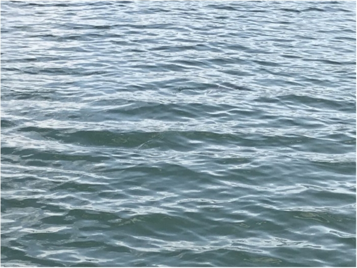 truth ブログ写真 2019/11/01