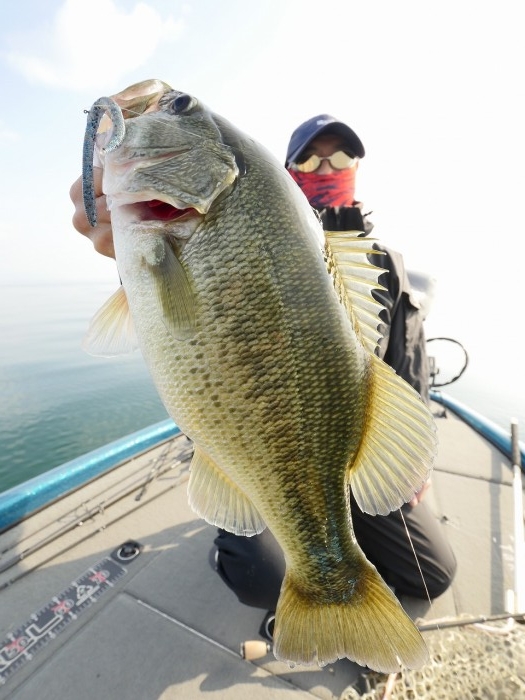 truth ブログ写真 2019/11/01