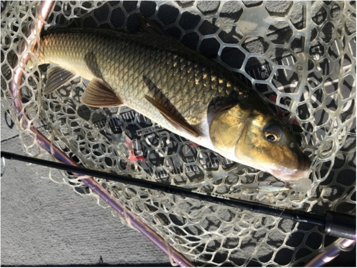 truth  ブログ写真 2019/11/08