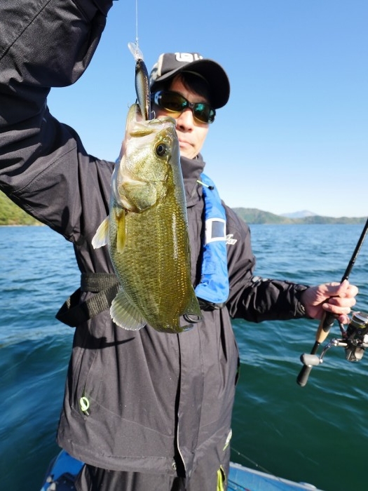 truth  ブログ写真 2019/11/08