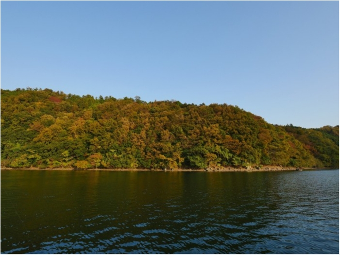 truth ブログ写真 2019/11/11