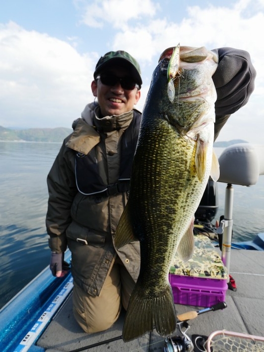 truth ブログ写真 2019/11/11