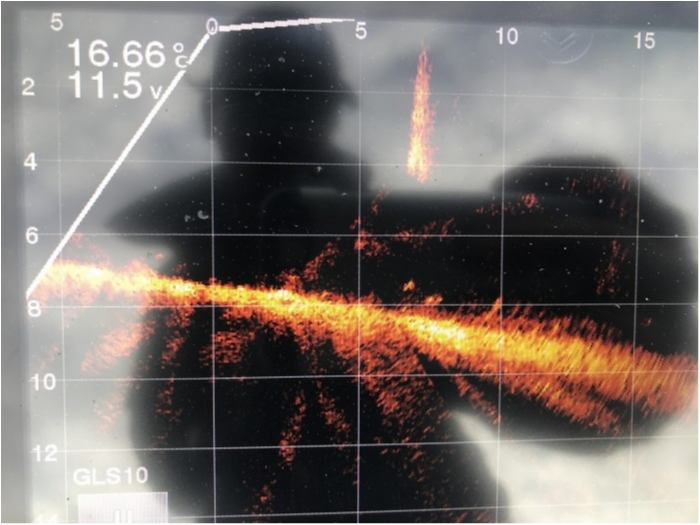 truth ブログ写真 2019/11/13