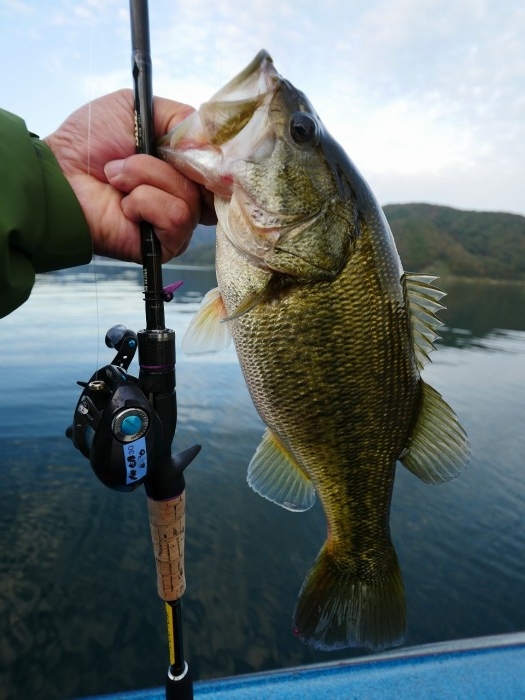 truth ブログ写真 2019/11/13