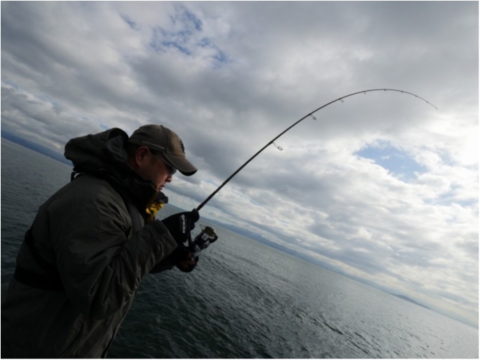 truth ブログ写真 2019/11/18