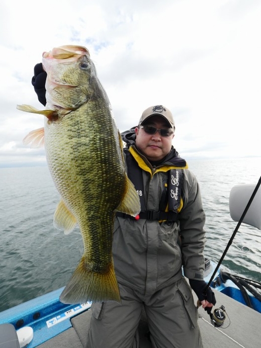 truth ブログ写真 2019/11/18