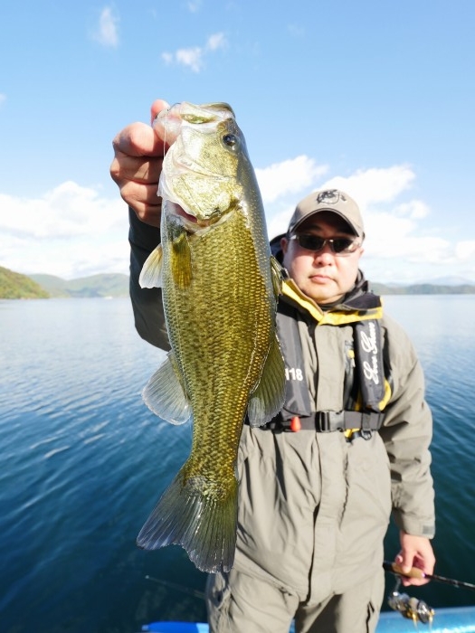 truth ブログ写真 2019/11/18