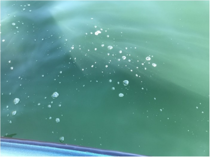 truth ブログ写真 2019/11/21