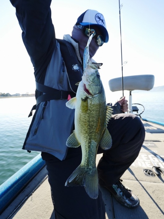 truth  ブログ写真 2019/11/23