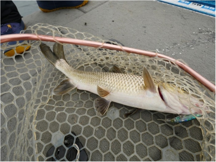 truth  ブログ写真 2019/11/23