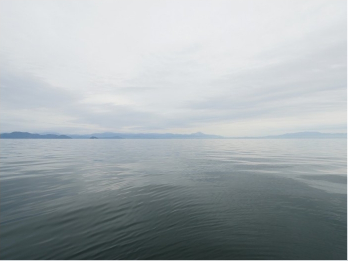 truth  ブログ写真 2019/11/23