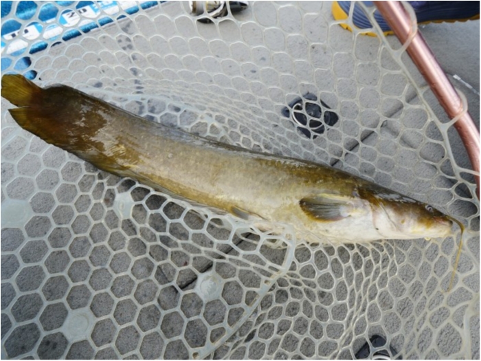 truth  ブログ写真 2019/11/23