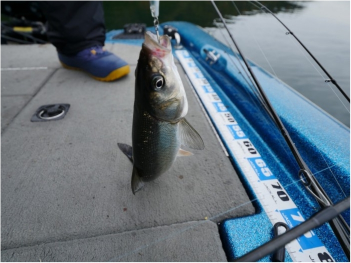 truth  ブログ写真 2019/11/23