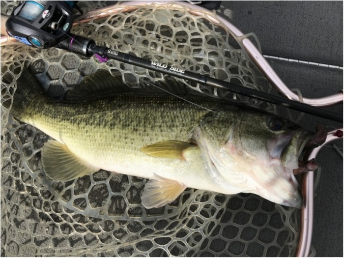 truth  ブログ写真 2019/11/26