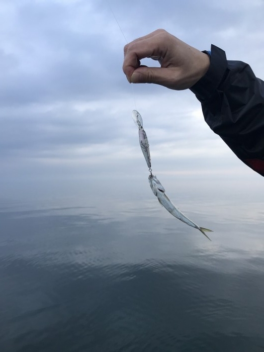 truth  ブログ写真 2019/11/26