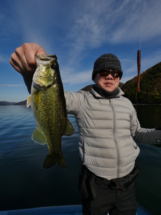 truth  ブログ写真 2019/12/01