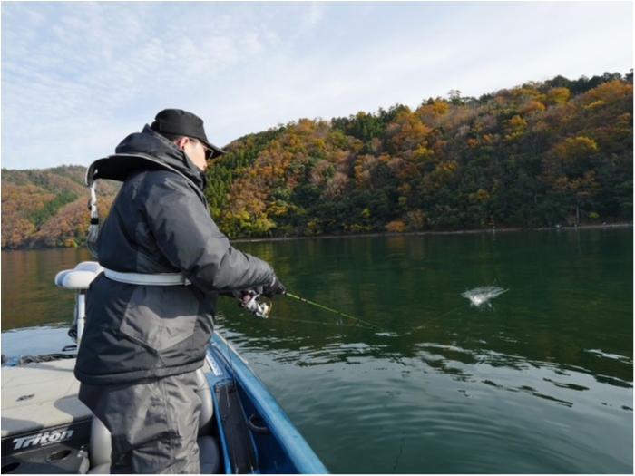 truth  ブログ写真 2019/12/01