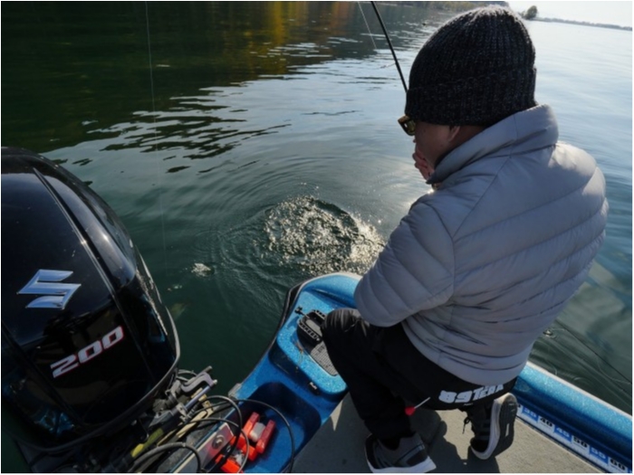 truth  ブログ写真 2019/12/01