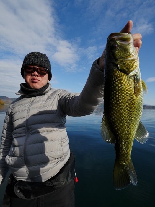 truth  ブログ写真 2019/12/01