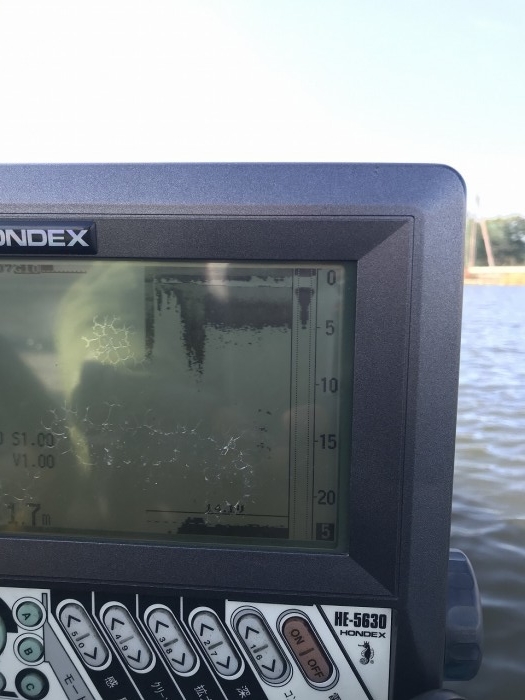 truth  ブログ写真 2019/12/04