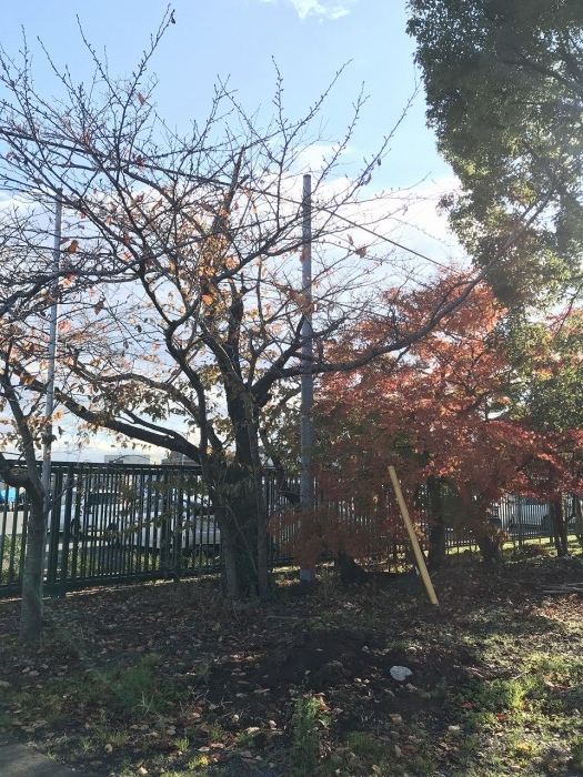 truth  ブログ写真 2019/12/04