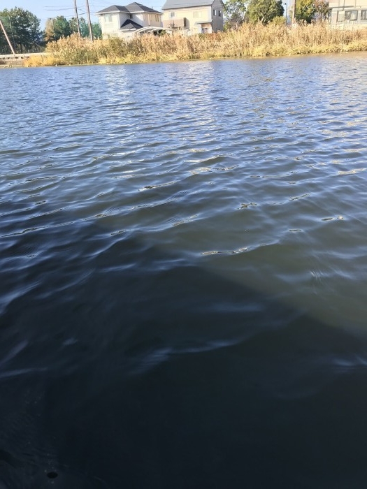 truth  ブログ写真 2019/12/04