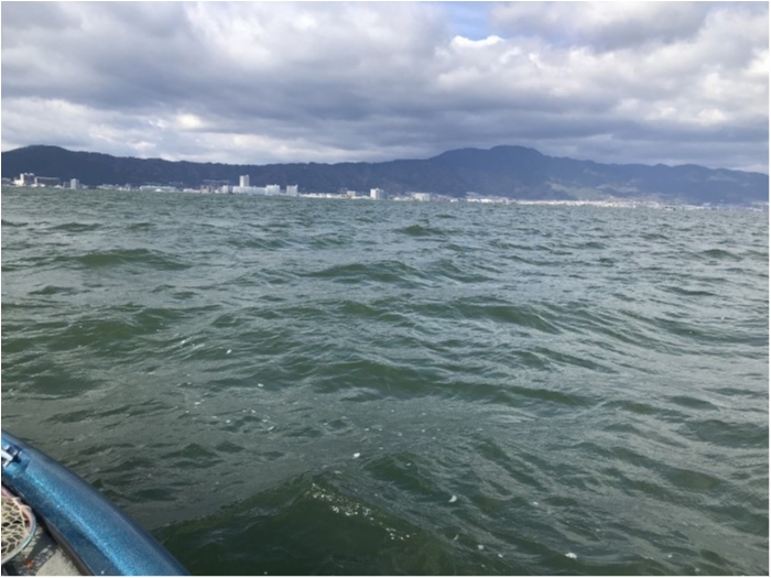 truth  ブログ写真 2019/12/05