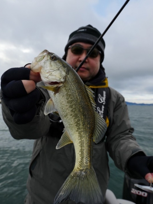 truth ブログ写真 2019/12/06