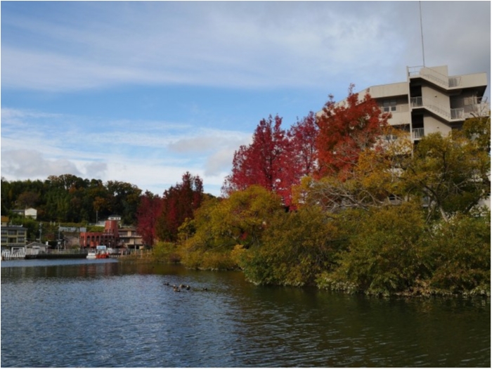 truth ブログ写真 2019/12/06