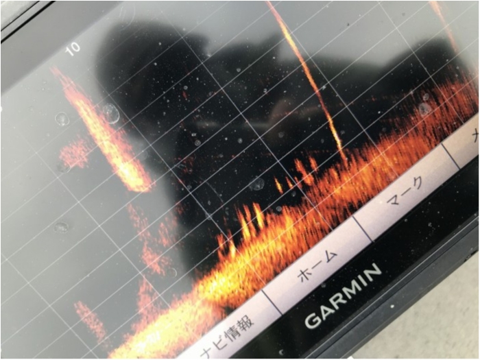 truth ブログ写真 2019/12/07