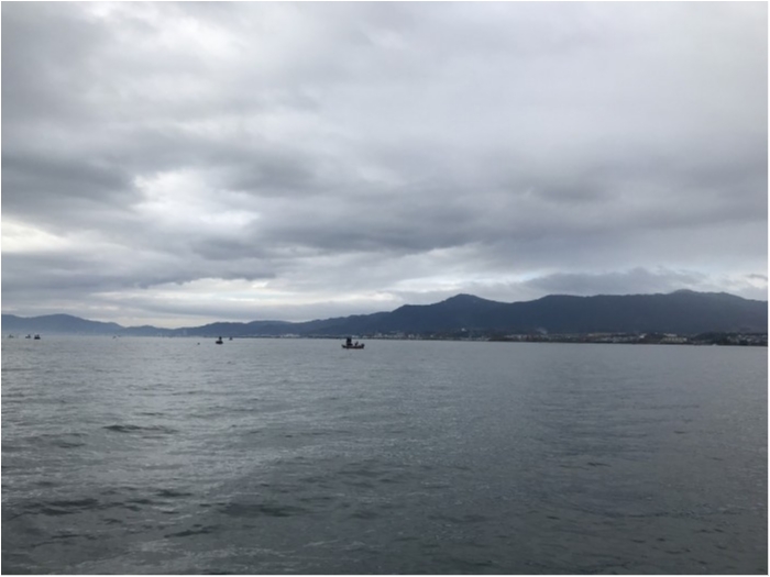 truth ブログ写真 2019/12/08