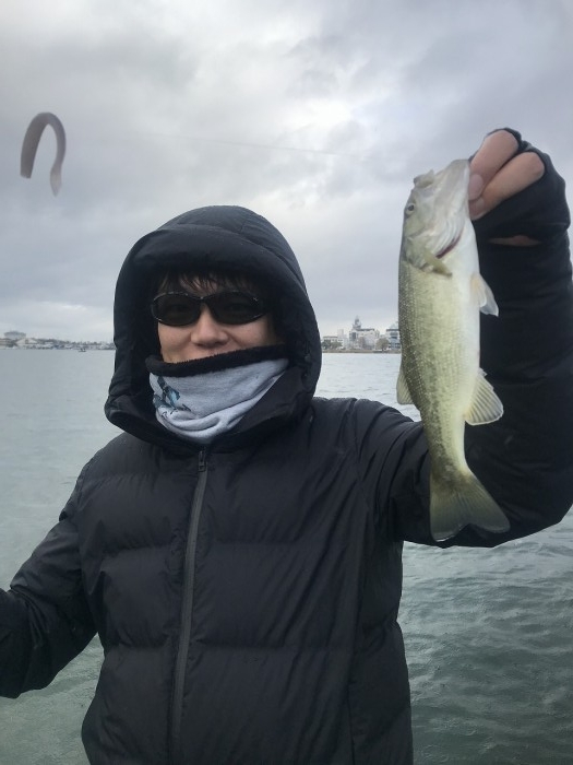 truth ブログ写真 2019/12/08