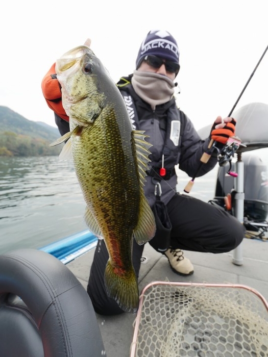 truth ブログ写真 2019/12/10