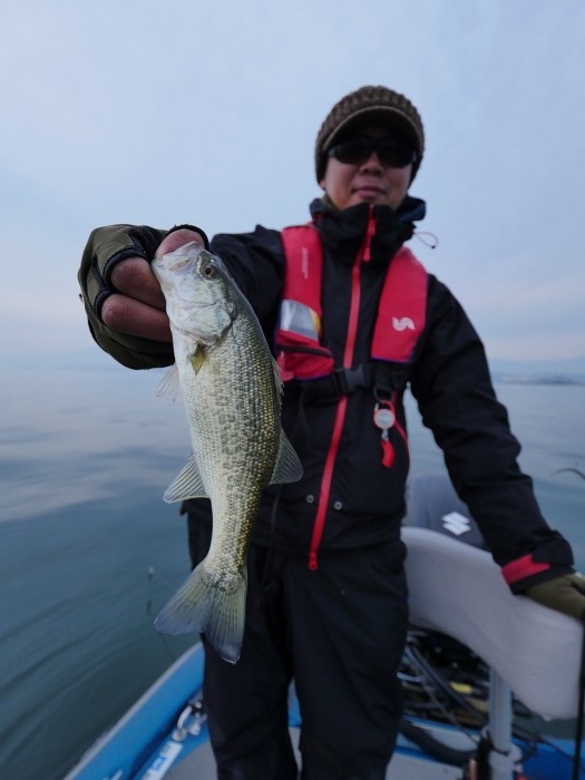 truth ブログ写真 2019/12/12