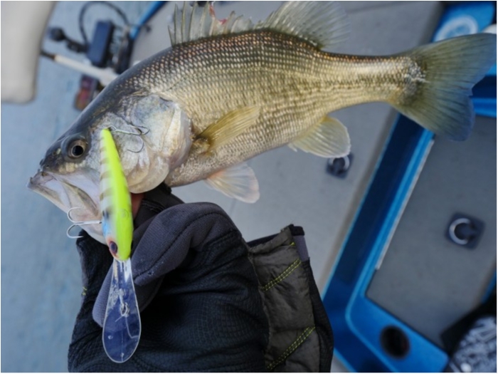 truth ブログ写真 2019/12/15