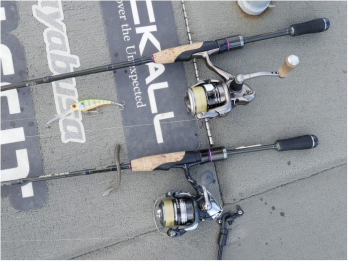 truth ブログ写真 2019/12/15