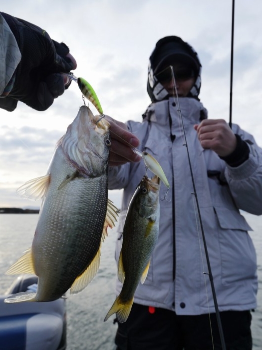 truth ブログ写真 2019/12/15