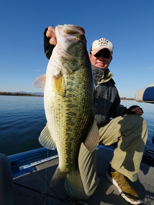 truth  ブログ写真 2019/12/16