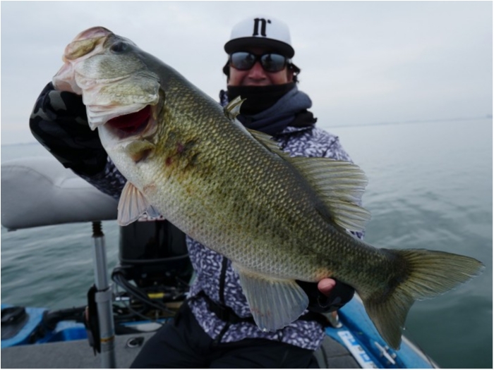 truth  ブログ写真 2019/12/17