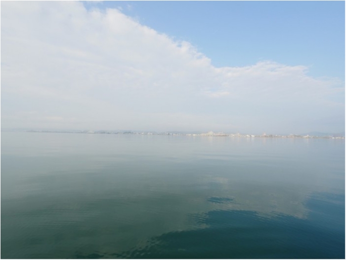 truth  ブログ写真 2019/12/17