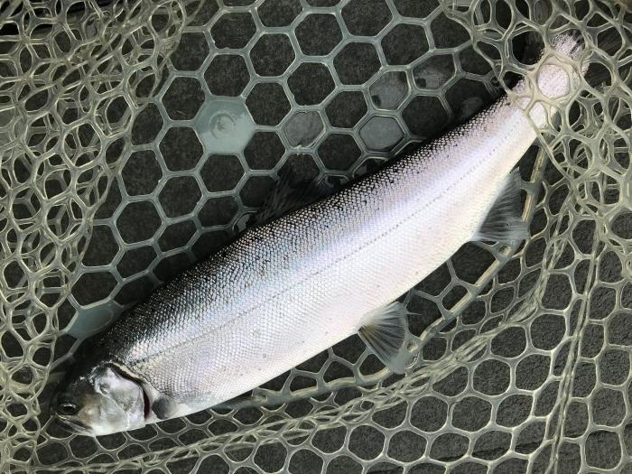 truth  ブログ写真 2020/01/07