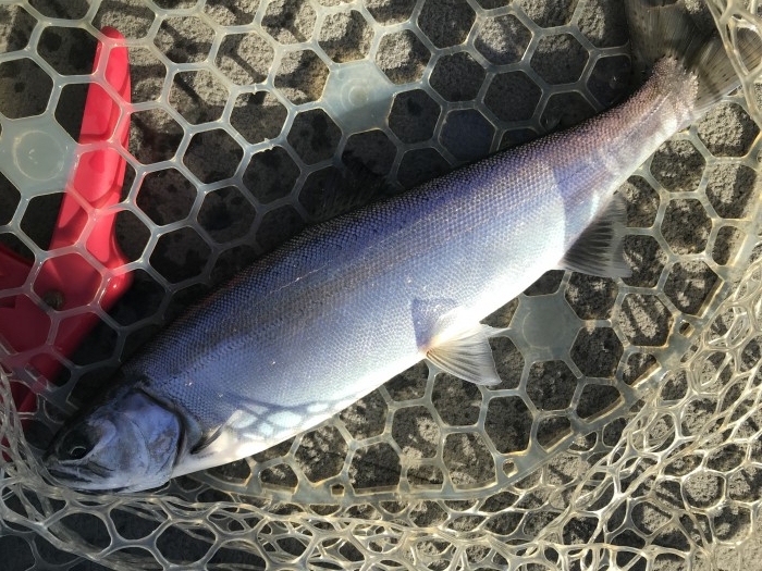 truth  ブログ写真 2020/01/07