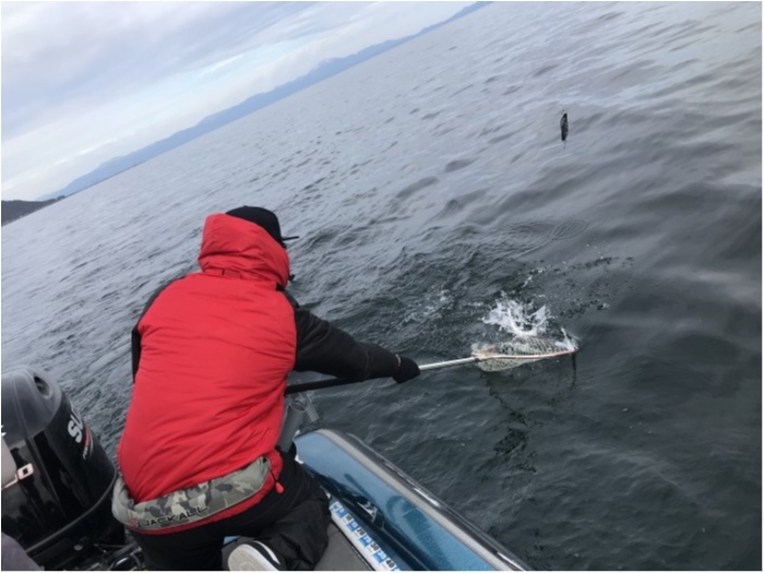 truth  ブログ写真 2020/01/07