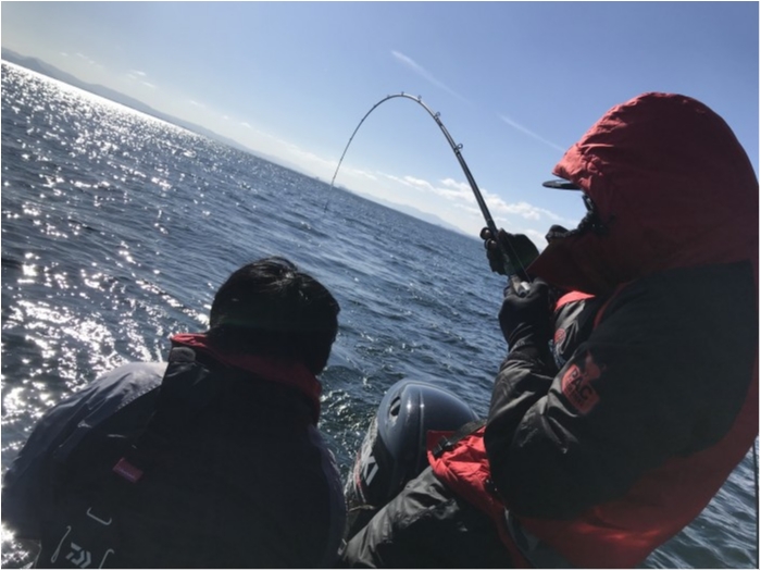 truth  ブログ写真 2020/01/07