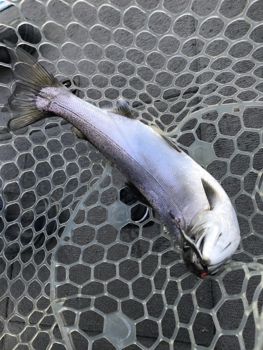 truth  ブログ写真 2020/01/10