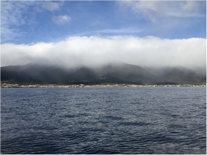 truth  ブログ写真 2020/01/10