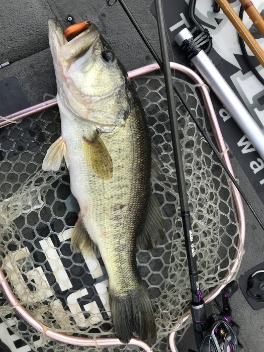 truth  ブログ写真 2020/01/10